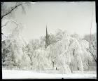 Park St Steeple Public Garden